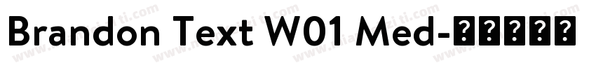 Brandon Text W01 Med字体转换